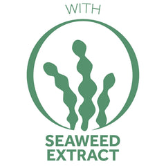 Pond’s Crema S Face Moisturizer Cream, Facial Moisturizing for Dry to Very Dry Skin 10.1 oz - The Beauty League Pakistan