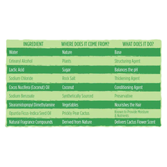 Suave Sulfate Free Shine Shampoo with Cactus Flower Shine