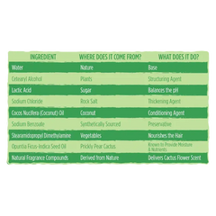 Suave Sulfate Free Shine Shampoo with Cactus Flower Shine - The Beauty League Pakistan