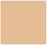 Bourjois Bio Detox Organic Perfecting Powder 54 Beige