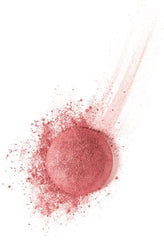Bourjois Little Round Pot Blusher 74 Rose Ambre - The Beauty League Pakistan