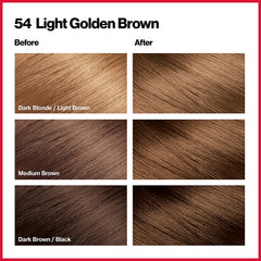 REVLON ColorSilk Beautiful Color 54 Light Golden Brown