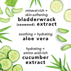 Mario Badescu-Facial Spray With Aloe, Cucumber And Green Tea - The Beauty League Pakistan