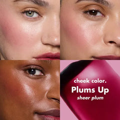 Elf- Sheer For It Blush Tint- Plums Up - The Beauty League Pakistan