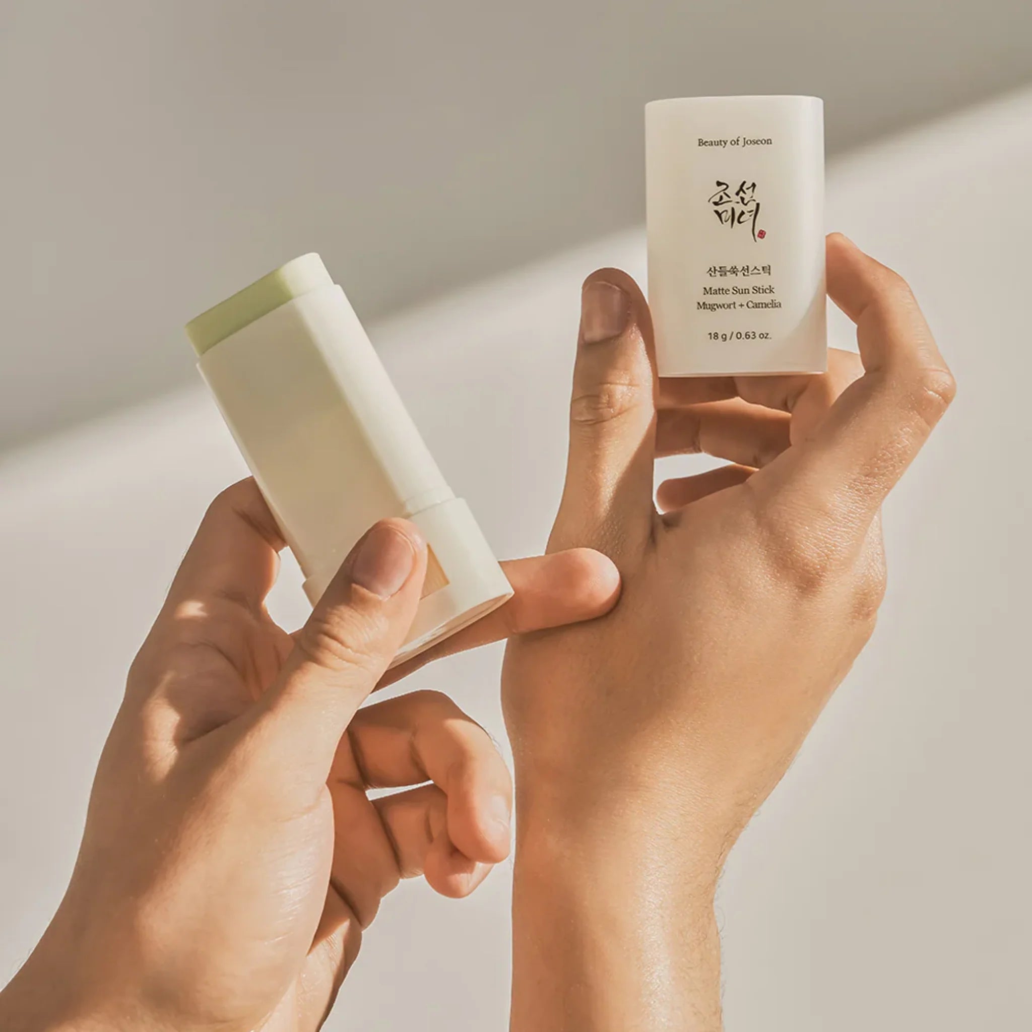 Beauty Of Joseon- Matte Sun Stick : Mugwort+Camelia (SPF 50+ PA++++)