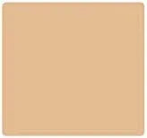 Bourjois Bio Detox Organic Perfecting Powder 54 Beige - The Beauty League Pakistan