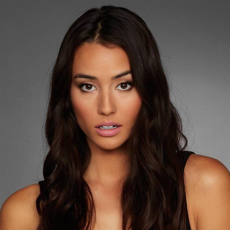 Urban Decay Vice Lipstick - Criminal Comfort Matte - The Beauty League Pakistan