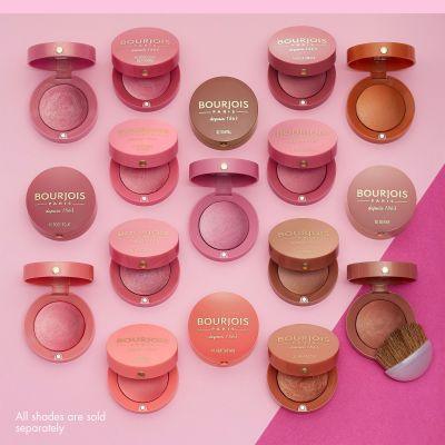 Bourjois Little Round Pot Blusher 48 Cendre De Rose Brune - The Beauty League Pakistan
